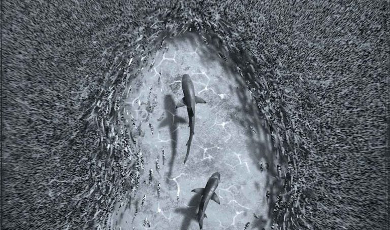 نقش نویز در زندگی انسان